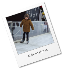 Alfie on skates